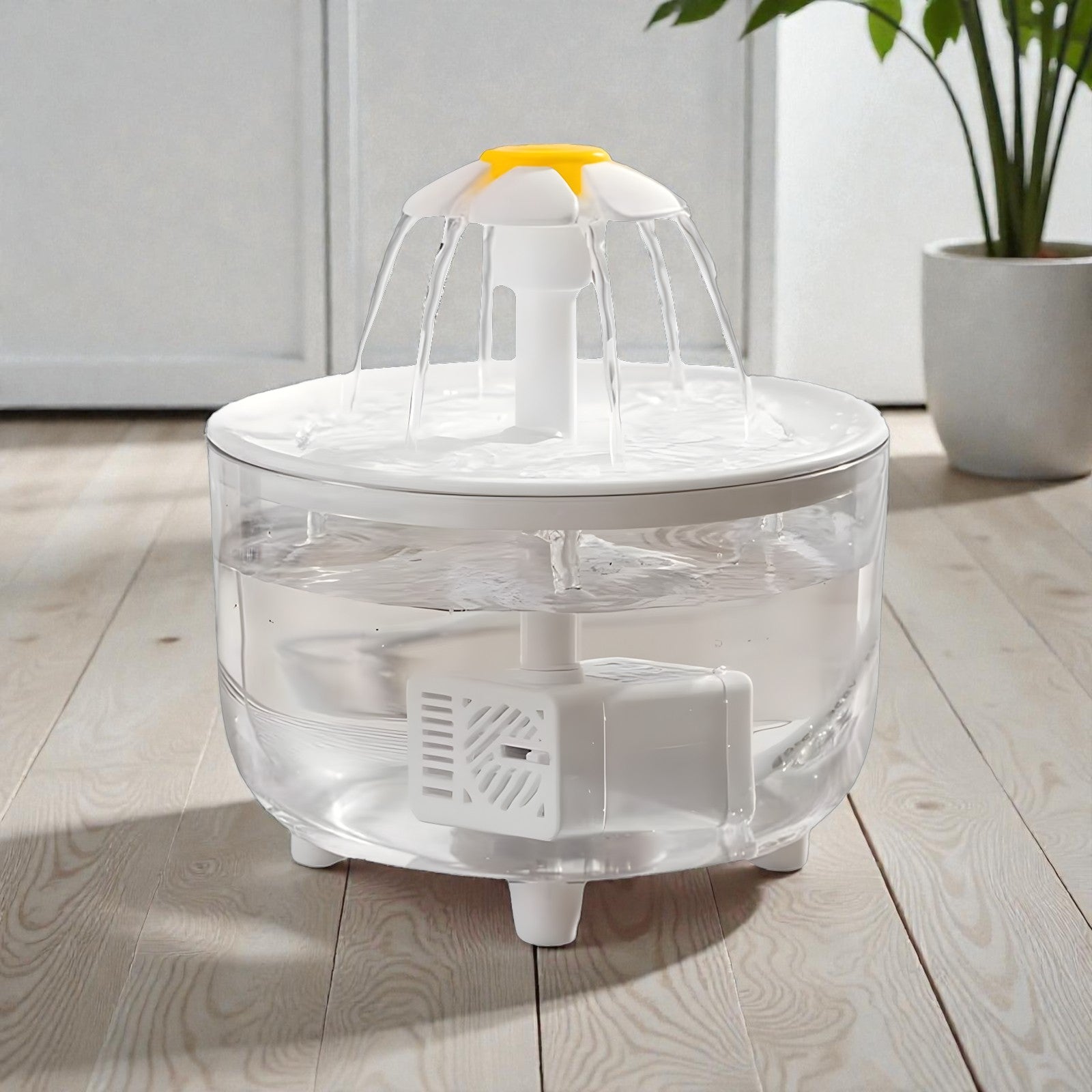 WD2.jpg__PID:80f6ff6b-c2a6-486e-9371-e9b92018cc93